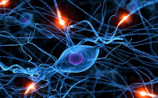 Deep Learning at NAVER